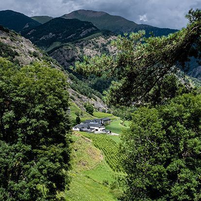 Vins Casus Belli Andorra Unesco Vinya i territori